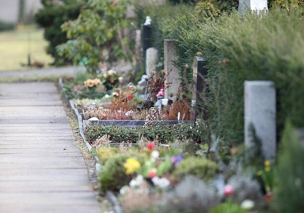 Bild vergr&ouml;&szlig;ern: Friedhofsgärtner fordern Ausnahmen von Gießverboten