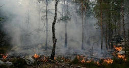 Waldbrand südlich von Paris wütet weiter: Gut 2000 Hektar abgebrannt