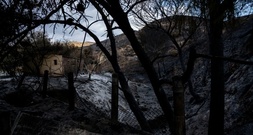 Bilanz von Waldbrand in Andalusien: Zwölf der 13 Todesopfer stammten aus dem Ausland