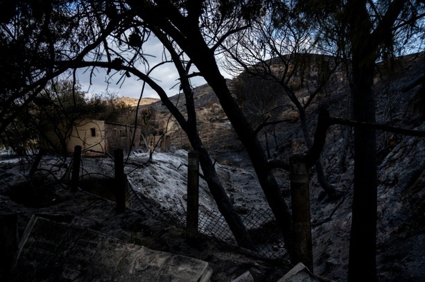 Bild vergr&ouml;&szlig;ern: Bilanz von Waldbrand in Andalusien: Zwölf der 13 Todesopfer stammten aus dem Ausland