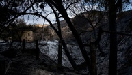 Bilanz von Waldbrand in Andalusien: Zwölf der 13 Todesopfer stammten aus dem Ausland