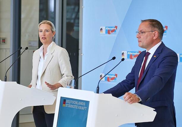 Bild vergr&ouml;&szlig;ern: AfD-Spitze fordert Abbruch der Listenwahl in NRW