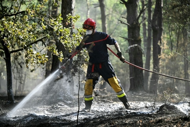 Bild vergr&ouml;&szlig;ern: Hunderte Feuerwehrleute gegen Waldbrände in Frankreich im Einsatz