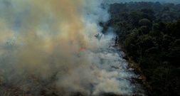 Waldbrände im Amazonas-Regenwald 2025 auf tiefstem Stand seit Jahrzehnten