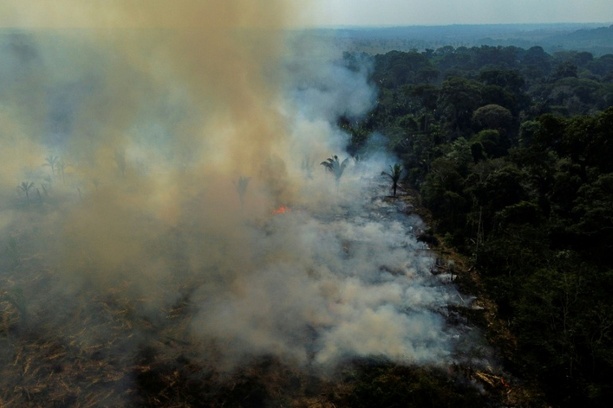 Bild vergr&ouml;&szlig;ern: Waldbrände im Amazonas-Regenwald 2025 auf tiefstem Stand seit Jahrzehnten