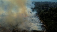 Waldbrände im Amazonas-Regenwald 2025 auf tiefstem Stand seit Jahrzehnten