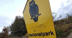 Waldbrand-Experte kritisiert Löschstrategie im Müritz-Nationalpark