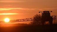 EU-Lebensmittelaufsicht senkt Grenzwert für Ewigkeitschemikalie TFA deutlich ab