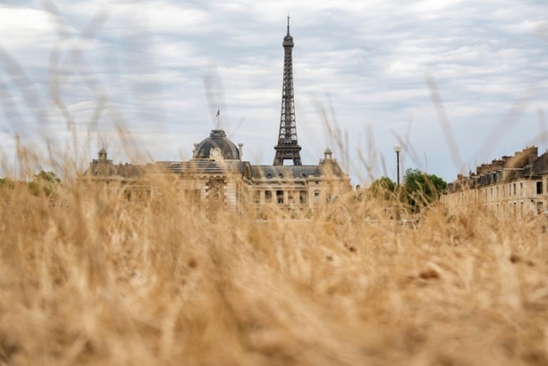 Bild vergr&ouml;&szlig;ern: Mehr als 5700 zusätzliche Todesfälle während Hitzewelle in Frankreich im Juni