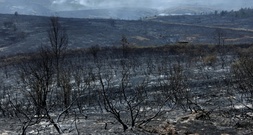 Spanien: Evakuierung mehrerer Gemeinden wegen Waldbrands nahe Madrid