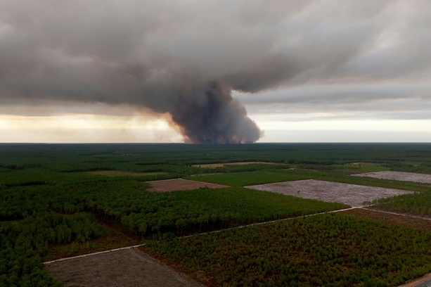 Bild vergr&ouml;&szlig;ern: 12.000 Menschen wegen Waldbrands in Touristenregion bei Bordeaux evakuiert