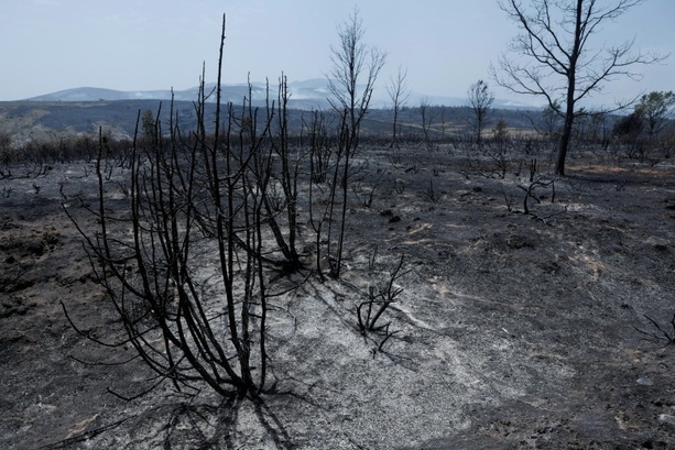 Bild vergr&ouml;&szlig;ern: Waldbrand außer Kontrolle: 3500 Menschen in Gemeinde westlich von Madrid evakuiert