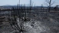 Waldbrand außer Kontrolle: 3500 Menschen in Gemeinde westlich von Madrid evakuiert