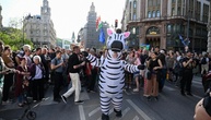 Ungarns Umweltminister kündigt Untersuchung zu Zebras von Orban-Vertrautem an