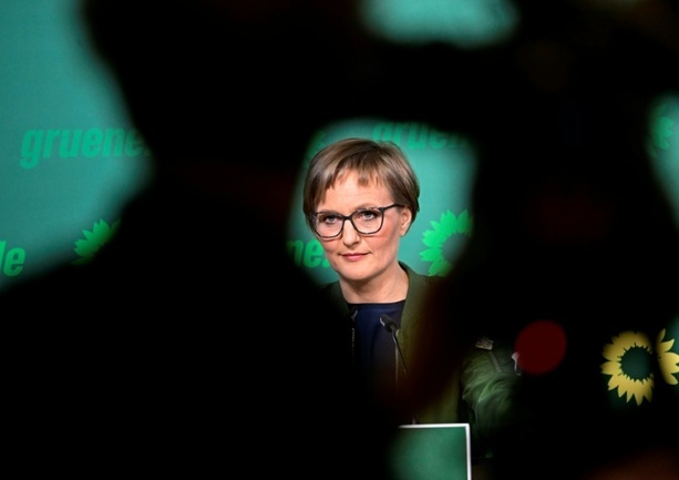 Bild vergr&ouml;&szlig;ern: Waldbrände in Südeuropa: Brantner fordert mehr Aufmerksamkeit für Klimaschutz