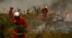 Brände in Frankreich: Flammen kommen bis 15 Kilometer an Großraum Bordeaux heran