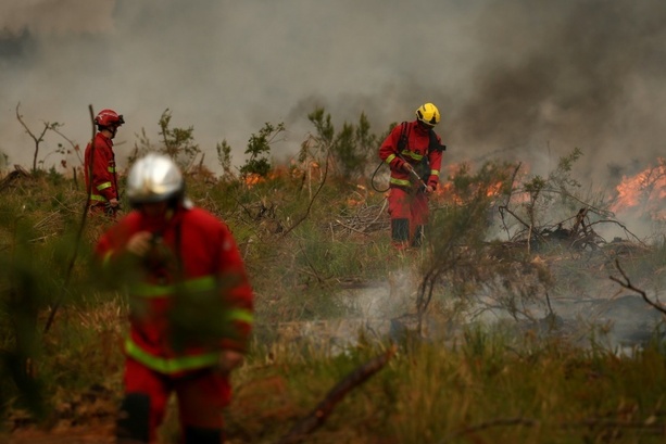 Bild vergr&ouml;&szlig;ern: Brände in Frankreich: Flammen kommen bis 15 Kilometer an Großraum Bordeaux heran