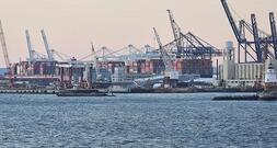 EU-Parlamentarier erwartet Ende der US-Zölle bis 2029