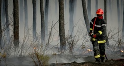 Behörden: Waldbrandsituation im Südwesten Frankreichs 