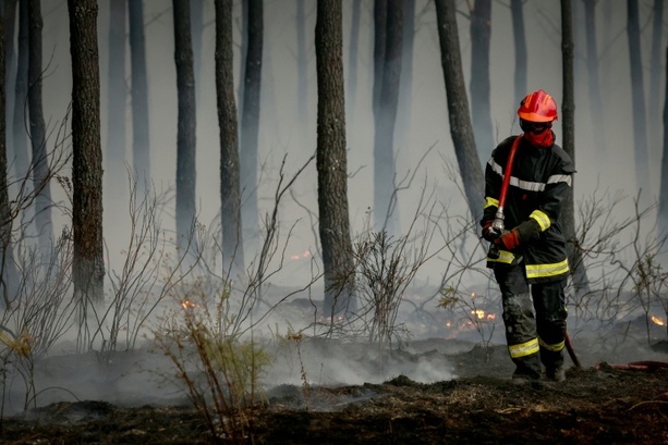Bild vergr&ouml;&szlig;ern: Behörden: Waldbrandsituation im Südwesten Frankreichs stabil
