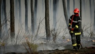 Behörden: Waldbrandsituation im Südwesten Frankreichs 