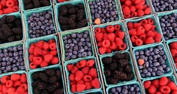 Noroviren in Tiefkühlbeeren: Verbraucherschützer fordern Warnhinweise