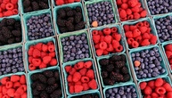 Noroviren in Tiefkühlbeeren: Verbraucherschützer fordern Warnhinweise