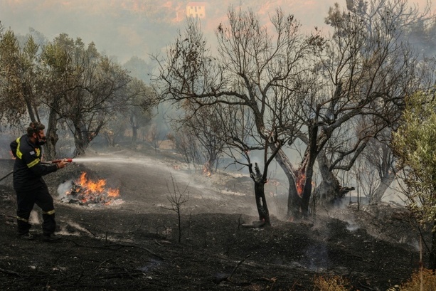Bild vergr&ouml;&szlig;ern: Schwere Waldbrände in Griechenland und in der Türkei - Mehrere Tote