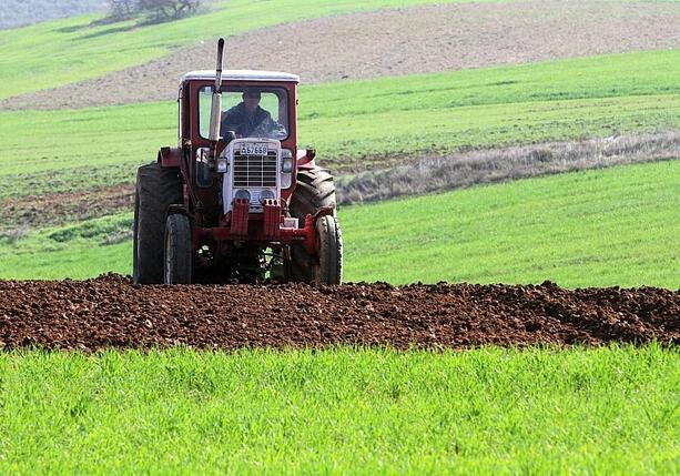 Bild vergr&ouml;&szlig;ern: Sojabohnen-Anbaufläche in Deutschland seit 2016 mehr als verdoppelt