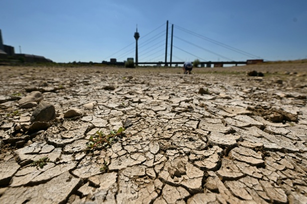 Bild vergr&ouml;&szlig;ern: Niedrigwasser im Rhein: NRW-Ministerin warnt vor Folgen für die Wirtschaft