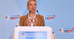 AfD will Fünf-Prozent-Hürde ersatzlos streichen