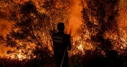 Türkei meldet landesweit 115 Waldbrände - 110 davon unter Kontrolle