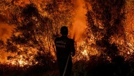 Türkei meldet landesweit 115 Waldbrände - 110 davon unter Kontrolle