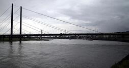 IW warnt vor den Folgen des Rhein-Niedrigwassers