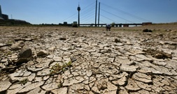 Niedrigwasser: Rheinpegel sinken an mehreren Orten auf Tiefststand