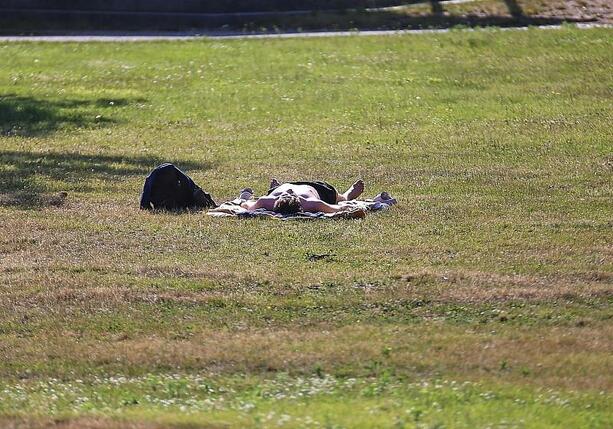 Bild vergr&ouml;&szlig;ern: Umweltstaatssekretär drängt auf Aktionsplan für Hitzeschutz
