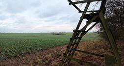 Jagdverband fordert mehr Einsatz gegen illegale Waffen