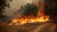 Griechenland: Wind in Brandgebieten lässt nach - Löschflugzeuge erneut im Einsatz