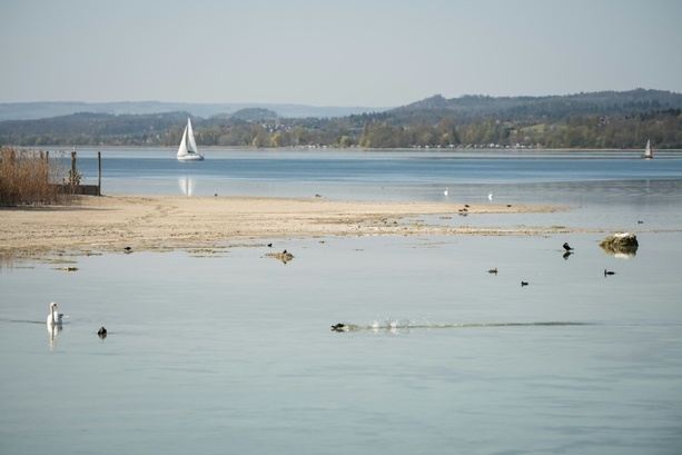 Bild vergr&ouml;&szlig;ern: Notaufstieg aus rund 80 Metern: Zwei Tote bei Tauchunfall in Bodensee