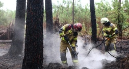 Ukrainische Feuerwehrleute helfen Feuerwehr nach Waldbrand nahe Bordeaux