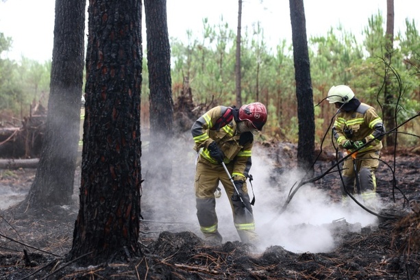 Bild vergr&ouml;&szlig;ern: Ukrainische Feuerwehrleute helfen Feuerwehr nach Waldbrand nahe Bordeaux