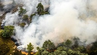 Waldbrand im Südosten der Niederlande nahe NRW ausgebrochen