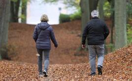 Immer mehr Rentenleistungen einkommensteuerpflichtig
