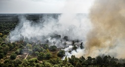 Waldbrand breitet sich in Naturschutzgebiet im Südosten der Niederlande aus