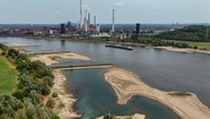 Niedrigwasser im Rhein: Unternehmen weichen auf Schiene und Lkw aus