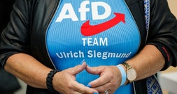 IWH-Studie: AfD-Wahlprogramm Sachsen-Anhalt ist nicht finanzierbar