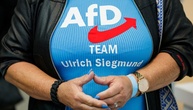 IWH-Studie: AfD-Wahlprogramm Sachsen-Anhalt ist nicht finanzierbar