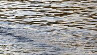 BUND kritisiert Niedrigwasserkonferenz ohne Umweltverbände