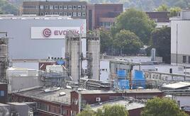 Studie: Wirtschaft droht Milliardenverlust durch Niedrigwasser