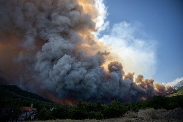 Bild vergr&ouml;&szlig;ern: U-Haft gegen Elektro-Unternehmer nach Waldbrand nahe Athen